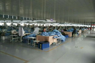 从衣线到菜篮 一位女工的跨界创业之路